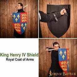 Escudo Del Rey Enrique IV Escudo Real Escudo Decorativo -Armadura Ventas 2141 pattern2 1