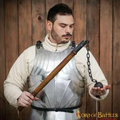 Azotador Medieval De Una Bola 13 Azotador Medieval De Una Bola -Armadura Ventas 25327 5 1