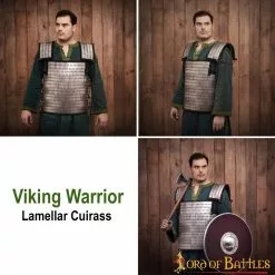 Armadura Vikinga De Escamas Laminares Con Placas De Visby SEGUNDA OPCIÓN -Armadura Ventas 25526 pattern 2