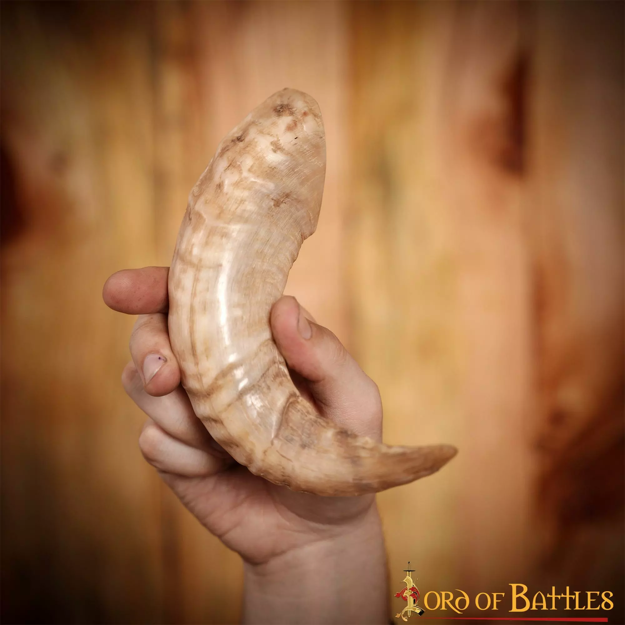 Cuerno Para Beber Vikingo Con Textura Natural Hecho A Mano Cuerno De Oveja Auténtico 8 Cuerno Para Beber Vikingo Con Textura Natural Hecho A Mano Cuerno De Oveja Auténtico - Imagen 6