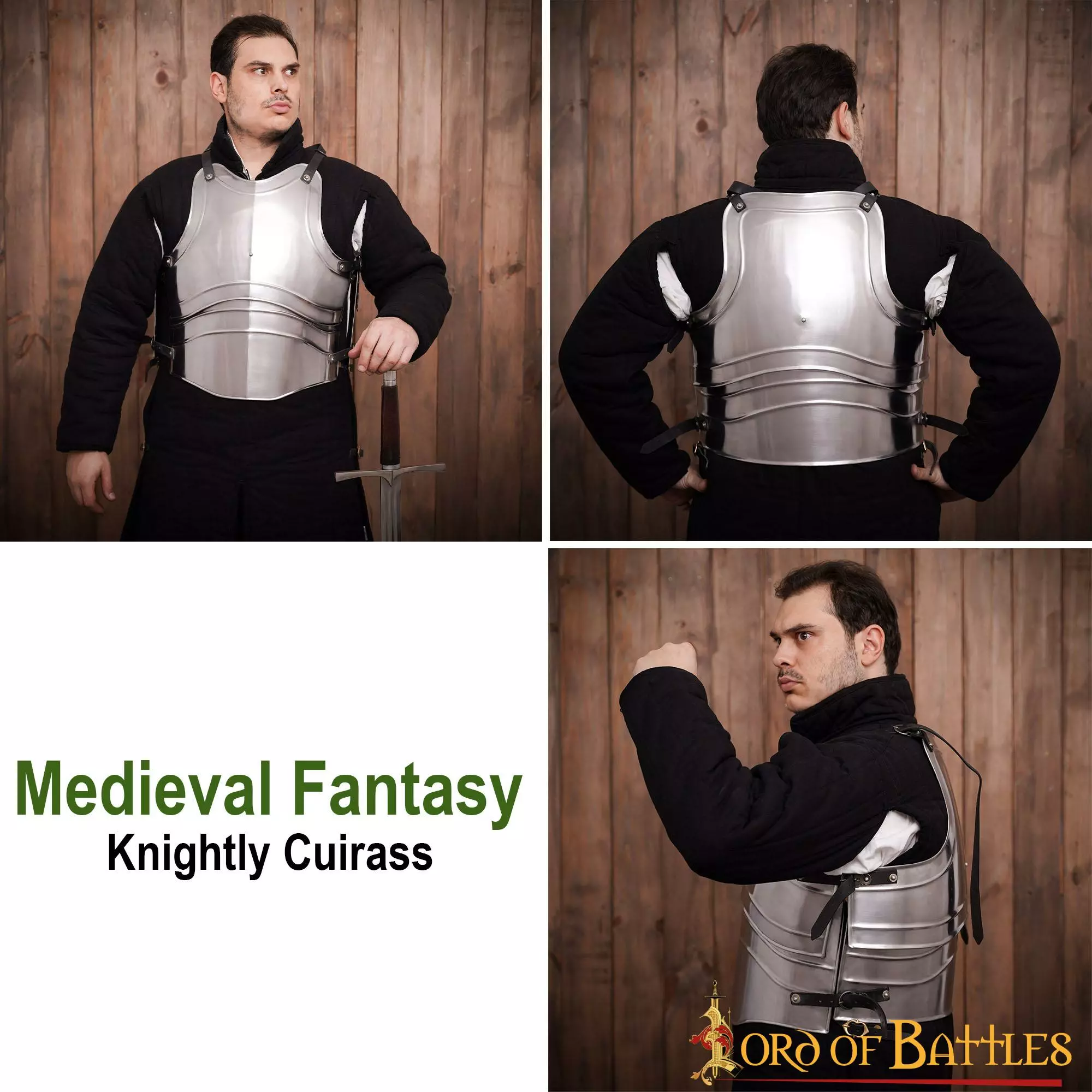Coraza Clásica Fantasía Medieval Cuatro Placas 7 Coraza Clásica Fantasía Medieval Cuatro Placas - Imagen 5