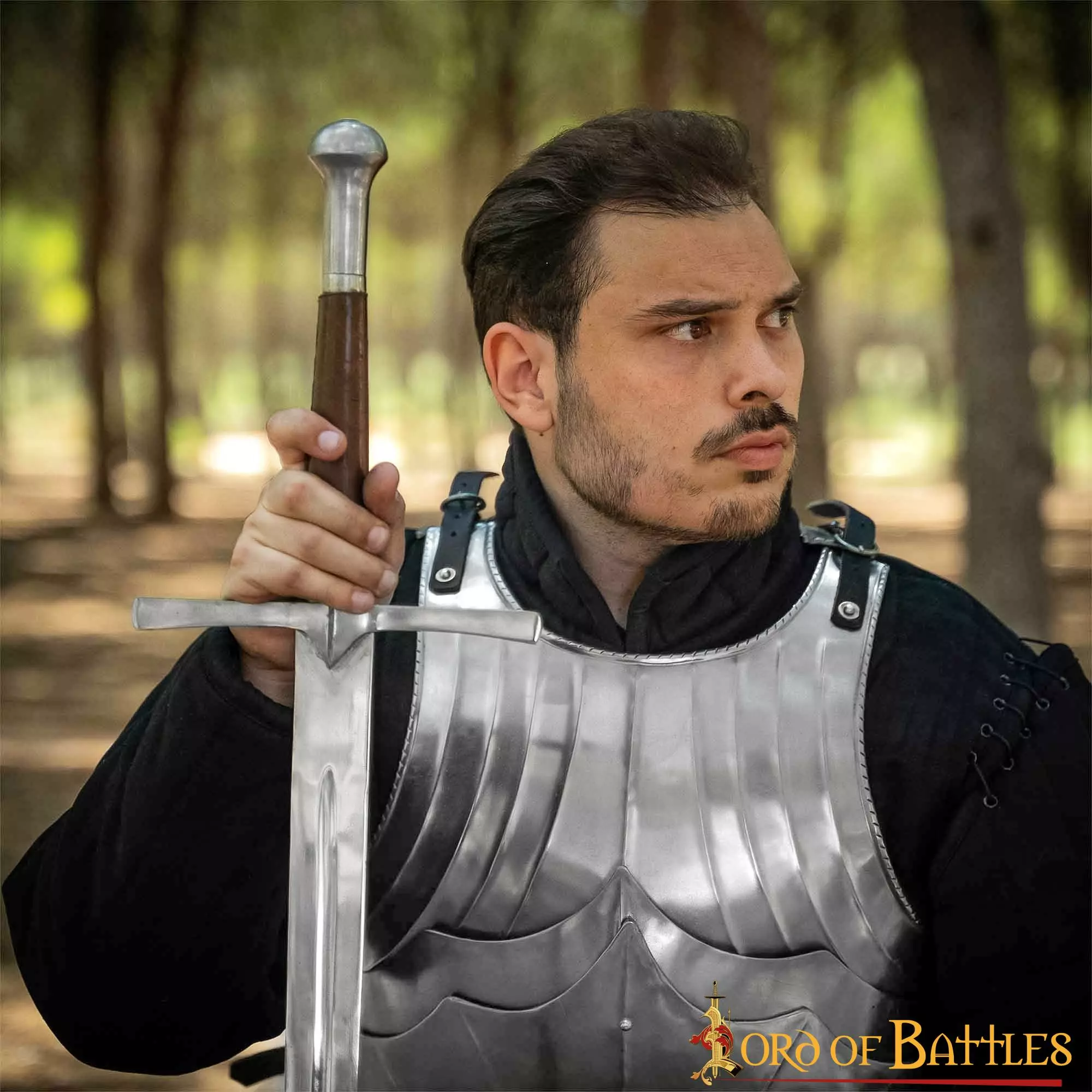 Coraza Gótica Medieval Tardía Calibre 16 8 Coraza Gótica Medieval Tardía Calibre 16 - Imagen 6